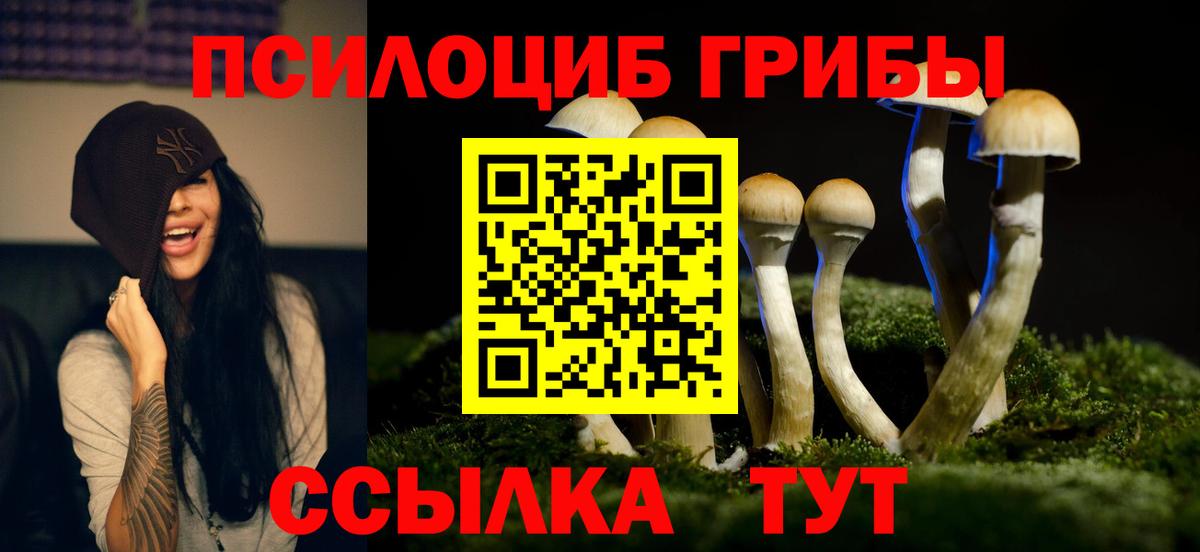 Арзамас  как найти закладки  Вход с VPN  Галлюциногенные грибы GOLDEN TEACHER  Псилоцибиновые грибы ЛСД 